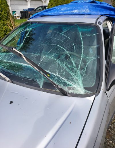 Good2Go (Mobile) Auto Glass